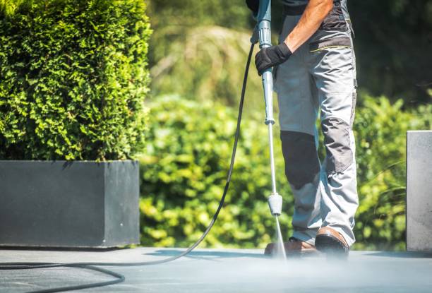 Best Pool Deck Cleaning  in Newport, MN